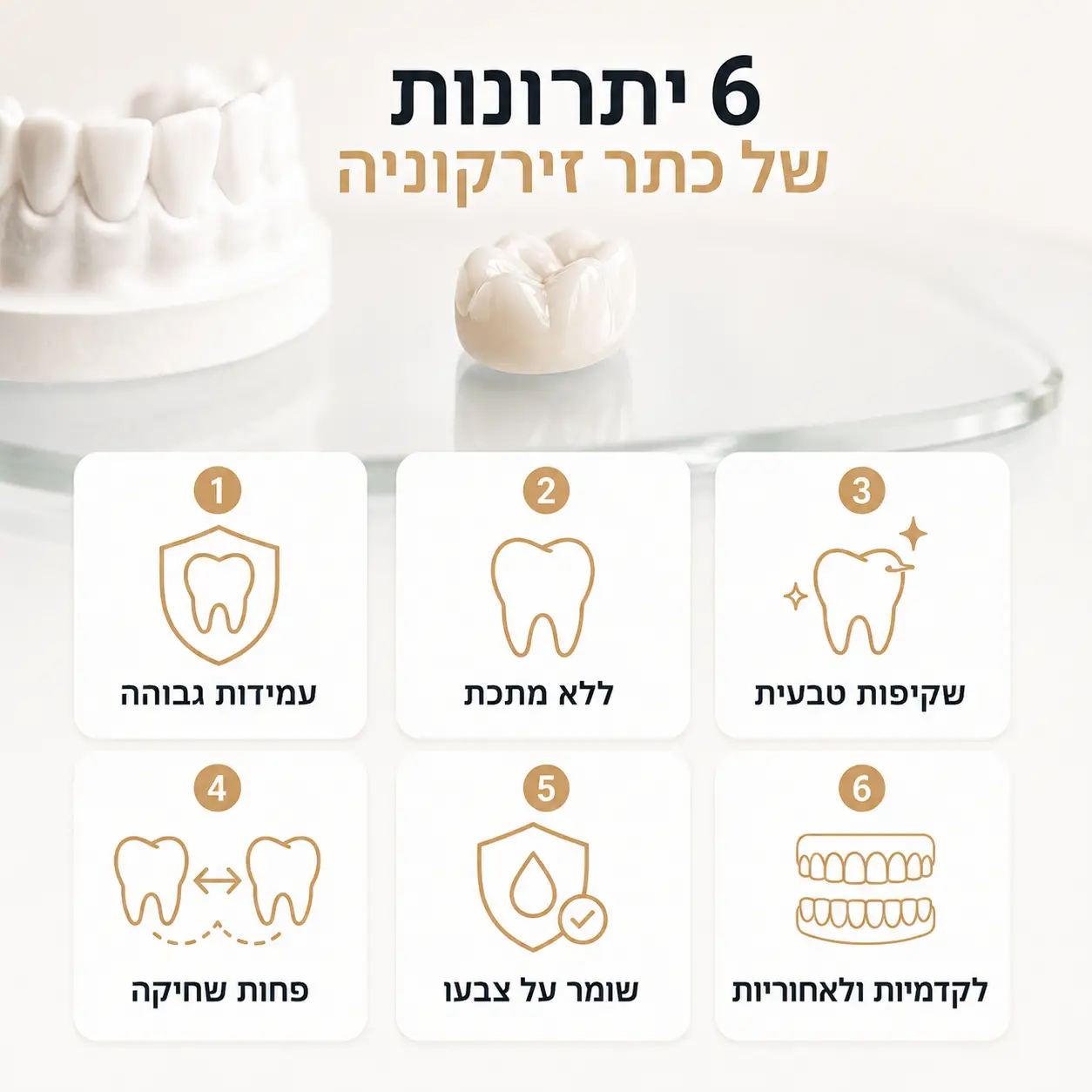 כתר זירקוניה | אינפוגרפיקה